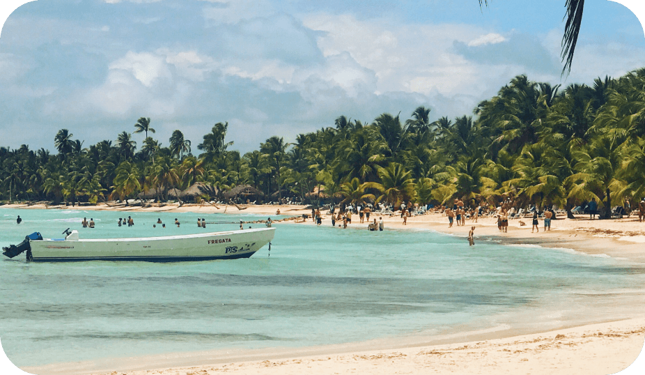 Golden beach with palm trees
